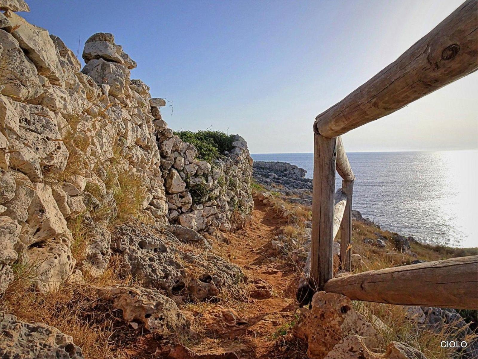 Palazzo Pati Otel Tiggiano Dış mekan fotoğraf
